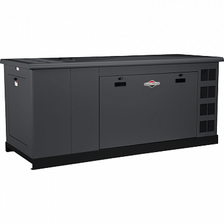 Генератор газовый Briggs&Stratton G400